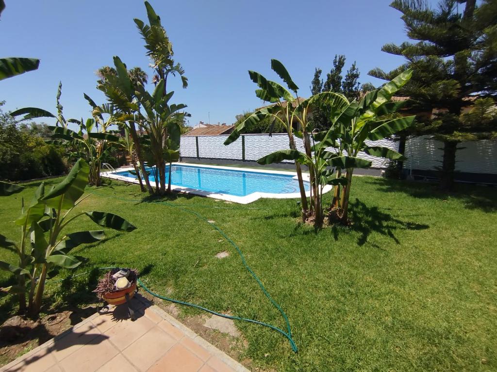 The swimming pool at or close to The Magic House