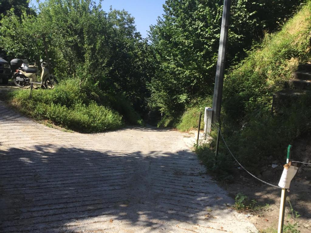 Loodusmaastik puhkemaja lähedal