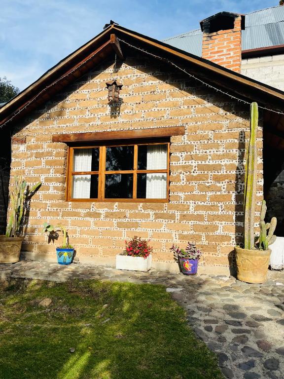 Zahrada ubytování Cabañas Los Cactus