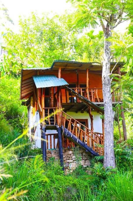 Zahrada ubytování Ella Bamboo Cabana