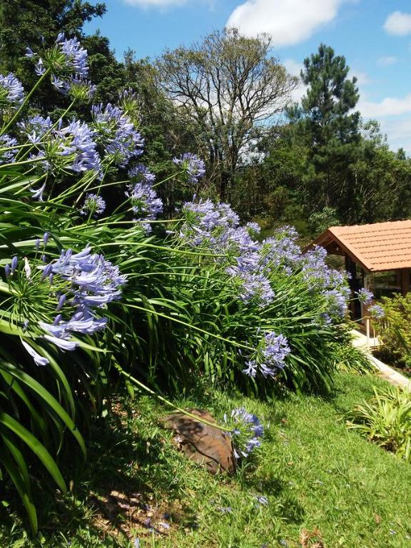 Sitío Bela Vista  Sitío Bela Vista