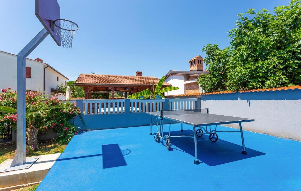 Stolní tenis v ubytování Cozy Home In Valbandon With Jacuzzi nebo okolí
