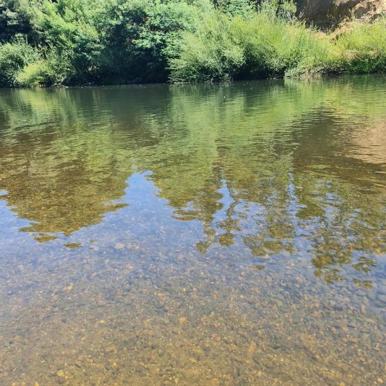 Casa Parcela Spa a 10 minutos del Aeropuerto Araucanía con acceso al Río