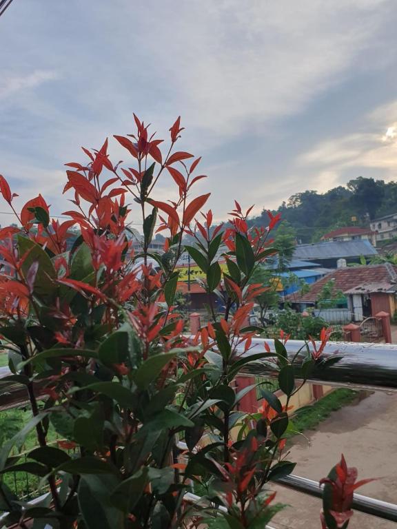 Fotografie z fotogalerie ubytování Varam Homestay v destinaci Madikeri