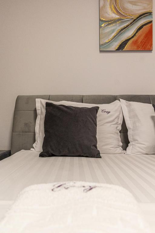 Cozy Brand New Boutique ApartHotel Brasov - Resim 39