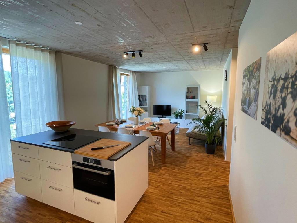 Kuchyň nebo kuchyňský kout v ubytování Ferienwohnung Grüner Ausblick