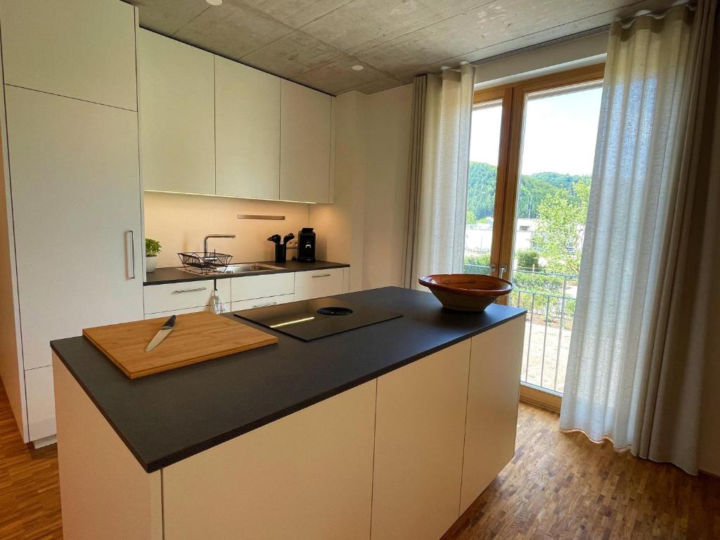 Kuchyň nebo kuchyňský kout v ubytování Ferienwohnung Grüner Ausblick