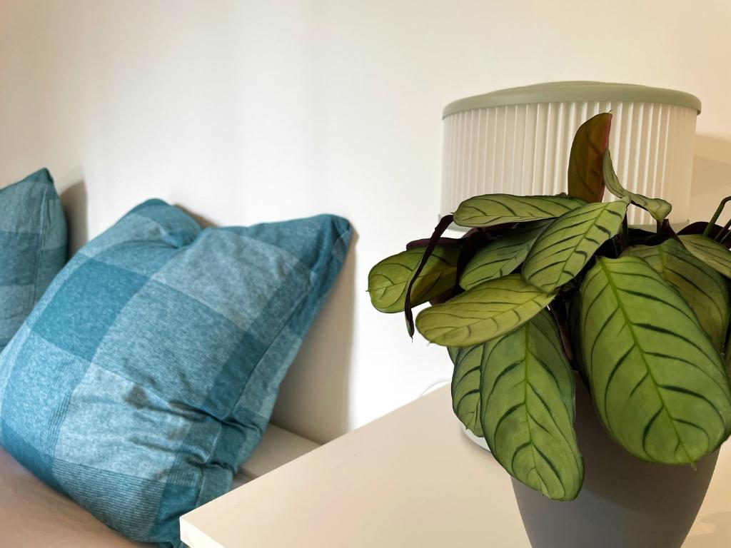 Posezení v ubytování Ferienwohnung Grüner Ausblick