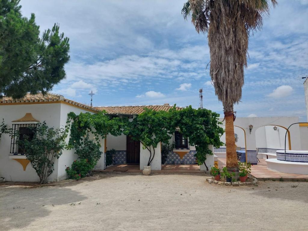 una casa bianca con una palma di fronte di Cortijo Las Cruces Guillena - Sevilla a Guillena