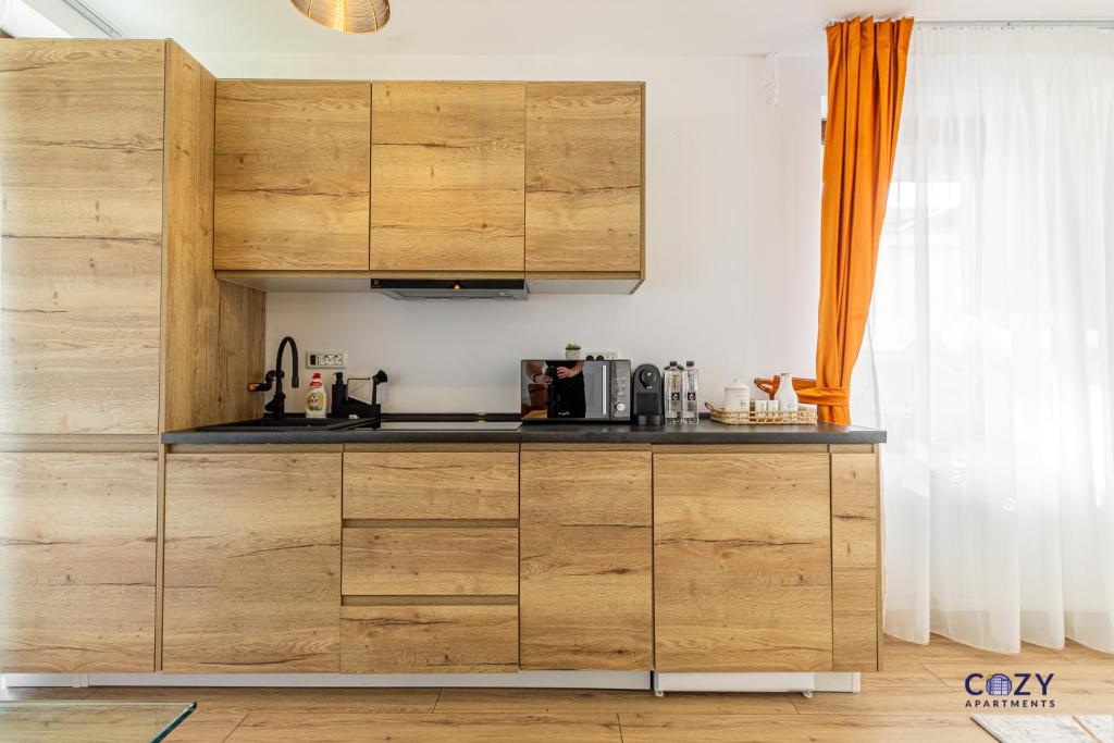 Unique and Cozy ApartHotel in Brasov - Resim 20