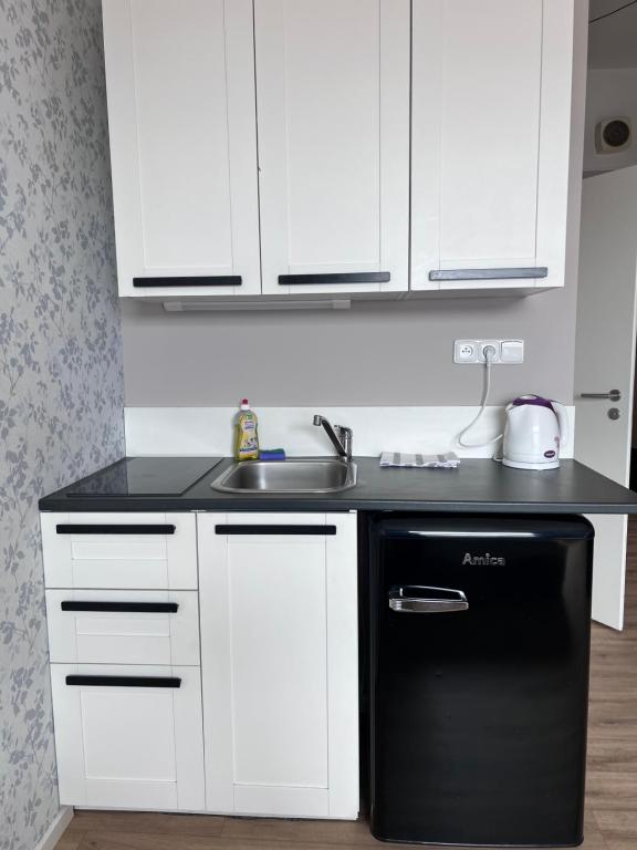 Kuchyň nebo kuchyňský kout v ubytování Downtown Apartments