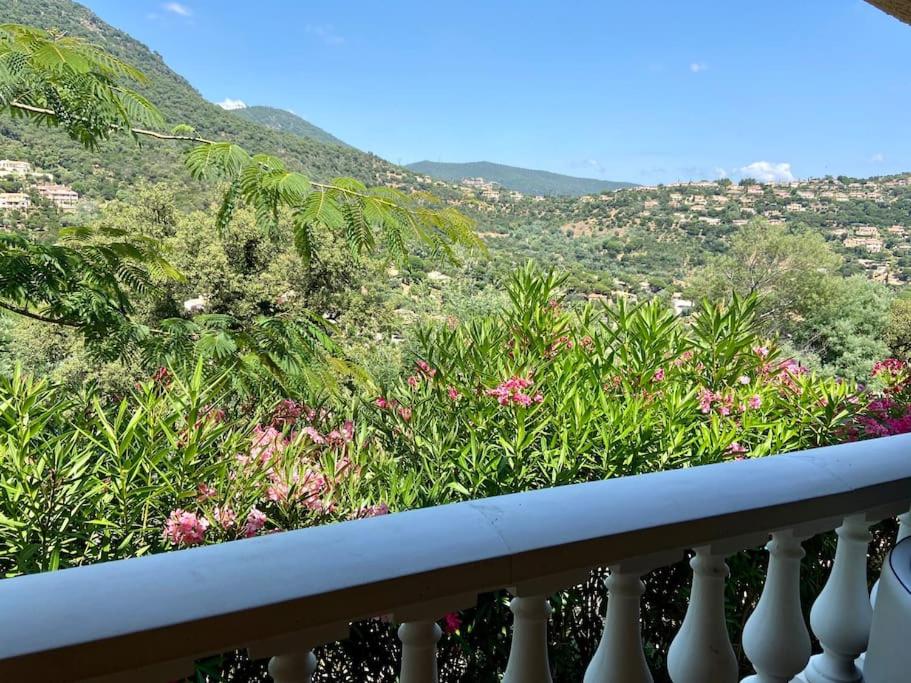 Γενική θέα στο βουνό ή θέα στο βουνό από  αυτό το διαμέρισμα