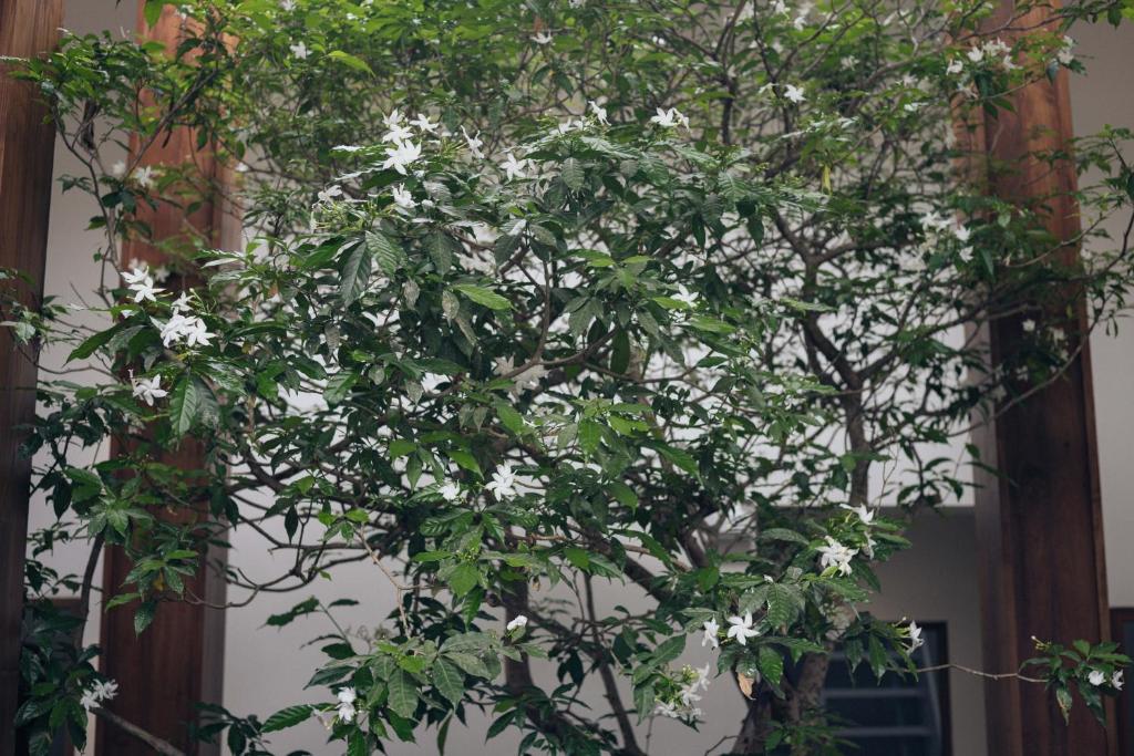 Glyn Chiangmai, Cozy Two-Story Rooms in the Heart of Chiang Mai - Resim 37