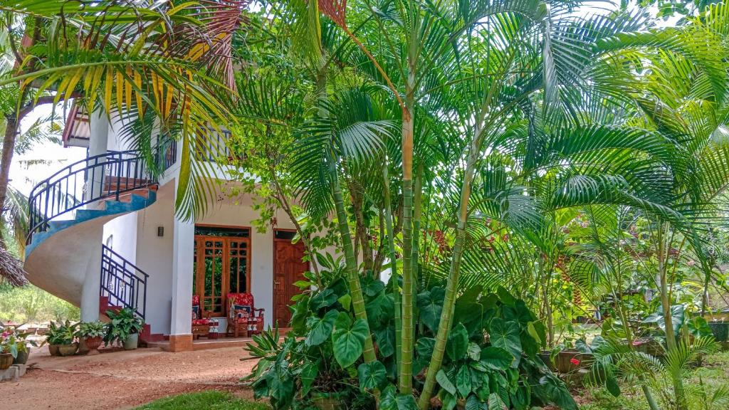 Zahrada ubytování Gimhana Homestay