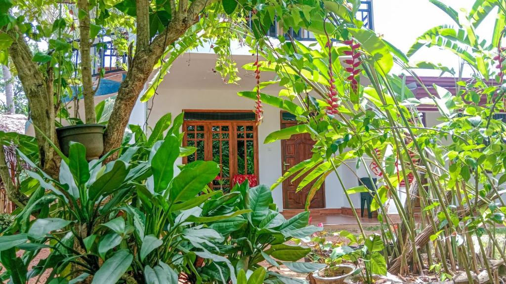 Zahrada ubytování Gimhana Homestay