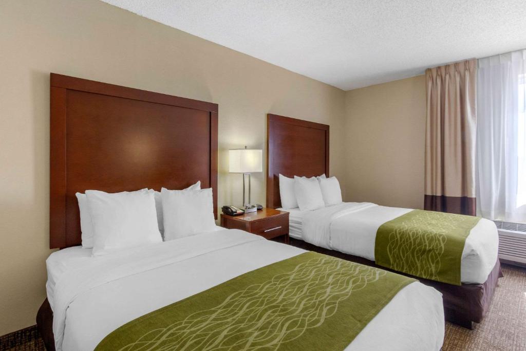 Comfort Inn St Petersburg North photo
