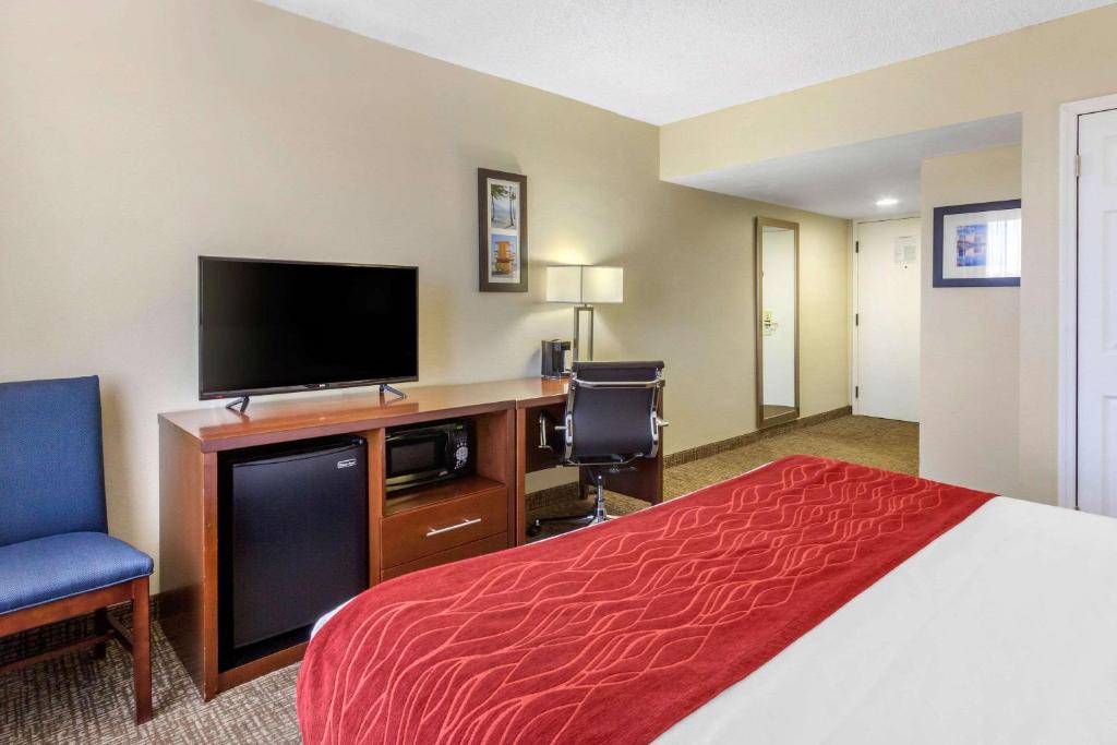 Comfort Inn St Petersburg North photo