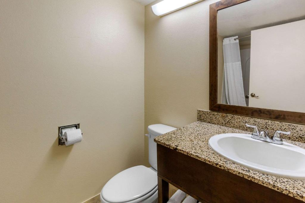 Comfort Inn St Petersburg North photo