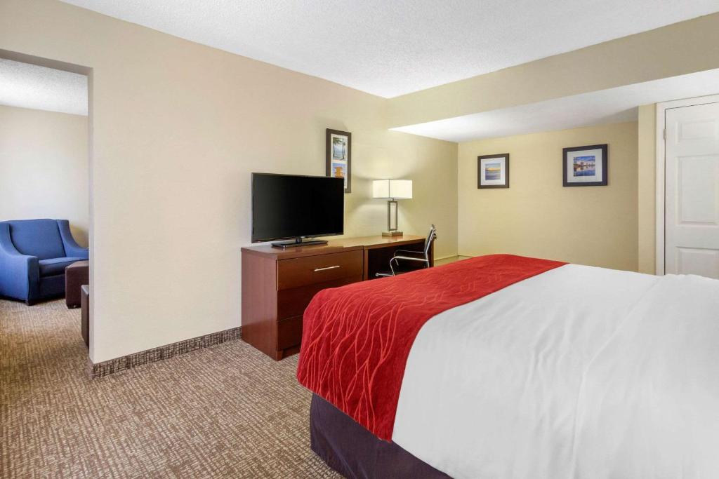 Comfort Inn St Petersburg North photo
