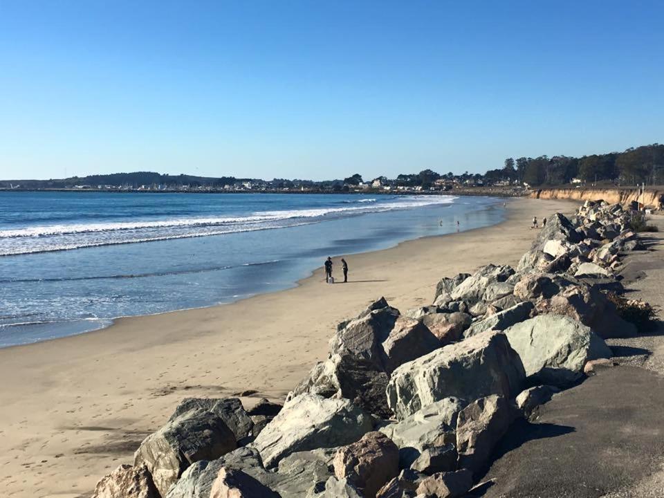 The Oceanfront Stay on MiramarBeach HMB photo