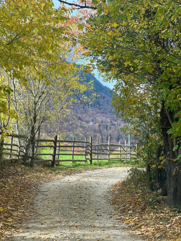 a dirt road in front of a fence at Mont Crai in Zărneşti