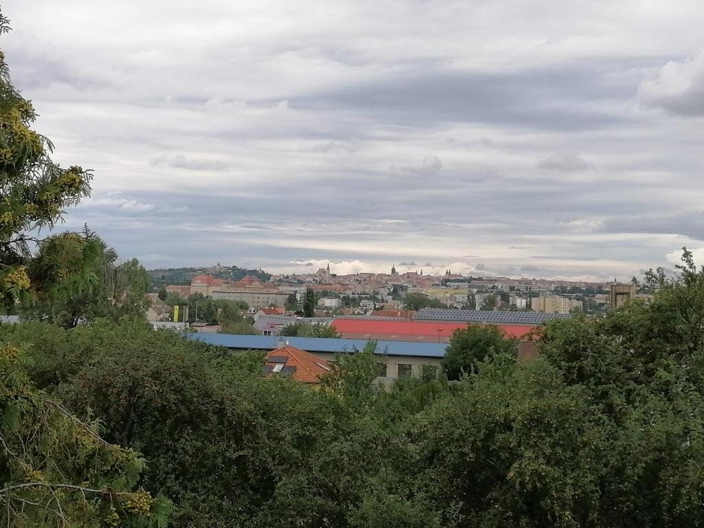 Příroda nedaleko ubytování v soukromí