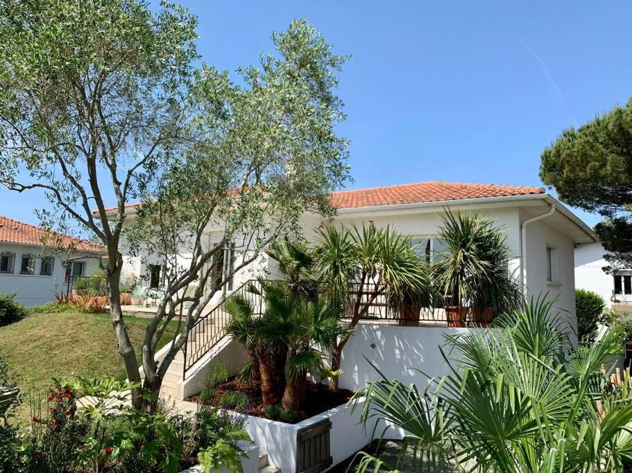 Κήπος έξω από το Belle maison grand jardin proche Côte des Basques