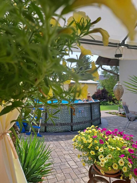 Zahrada ubytování Vila Harmónia