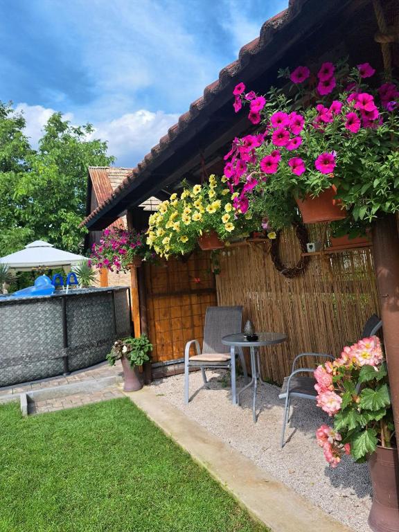 Zahrada ubytování Vila Harmónia