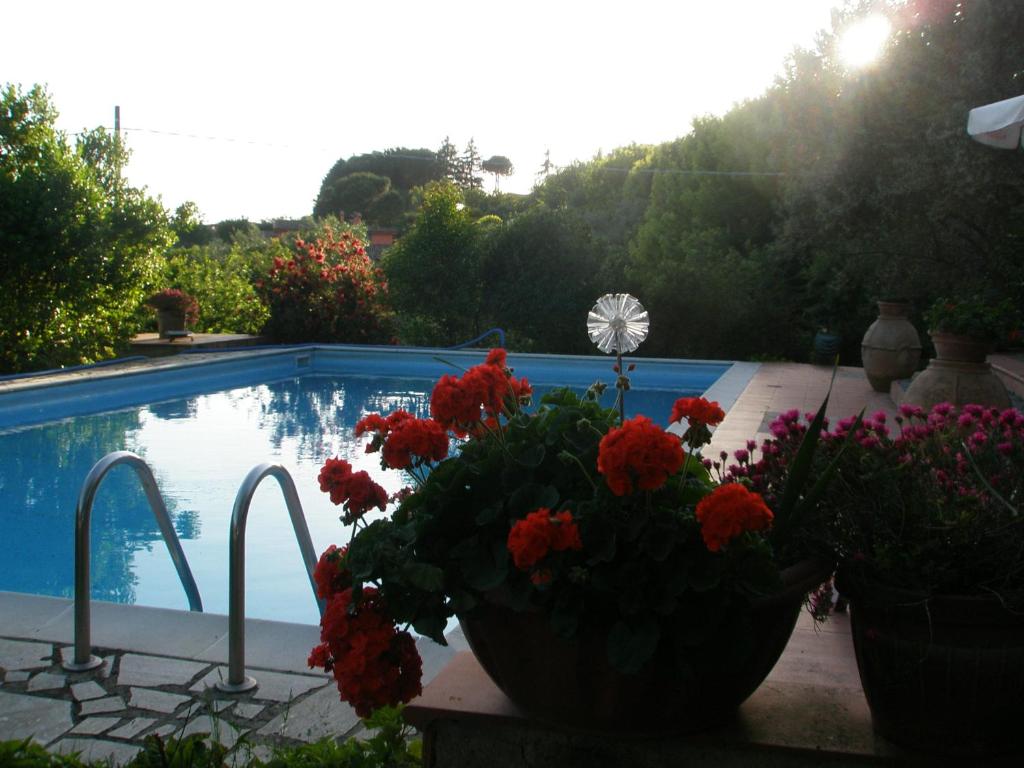 una maceta de flores rojas junto a una piscina en L'Oasi di Aaron en Formello