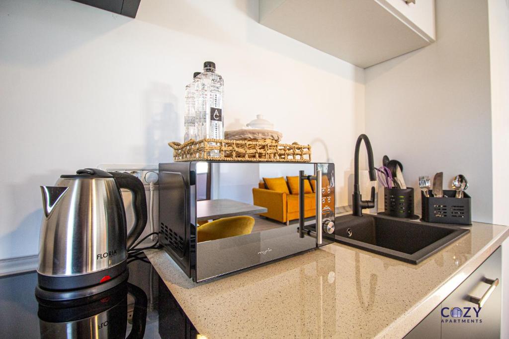 Luxury Cozy Collection ApartHotel in Brasov - Resim 25