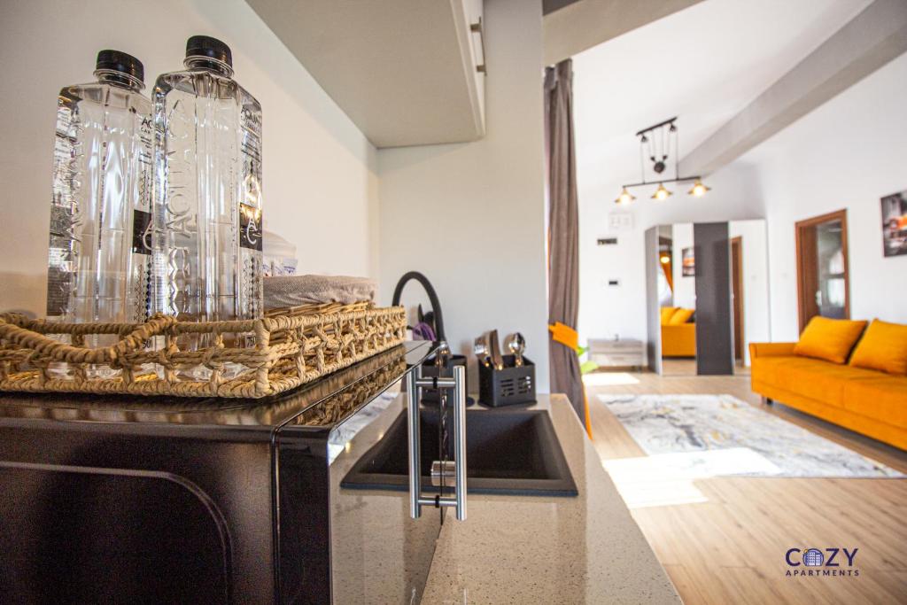 Luxury Cozy Collection ApartHotel in Brasov - Resim 21