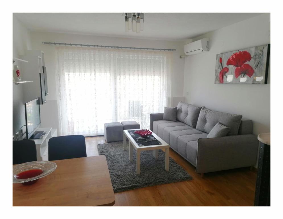 オフリドにあるMedar Apartment City Centreのソファとテーブルのあるリビングルーム