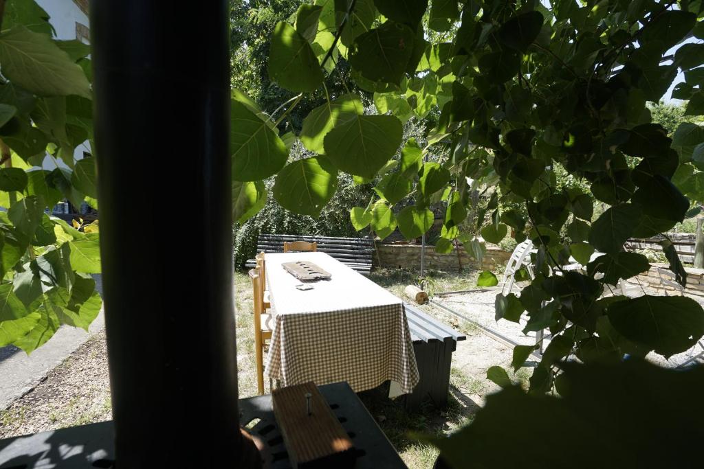 Zahrada ubytování PODERE Sant'Anna B&B -Bambù room