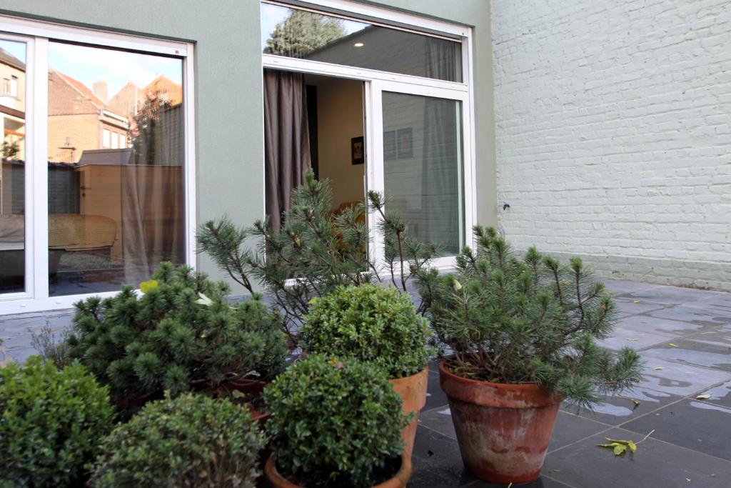 Zahrada ubytování Parc Brussels Apartment