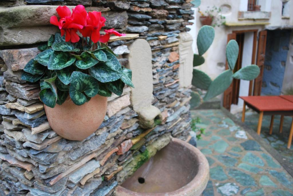 Fotografie z fotogalerie ubytování Albergo diffuso Ecobelmonte v destinaci Belmonte Calabro