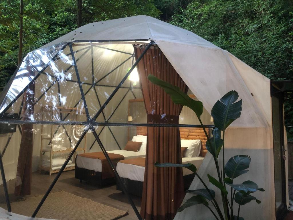 Zahrada ubytování Evaland Glamping Resort