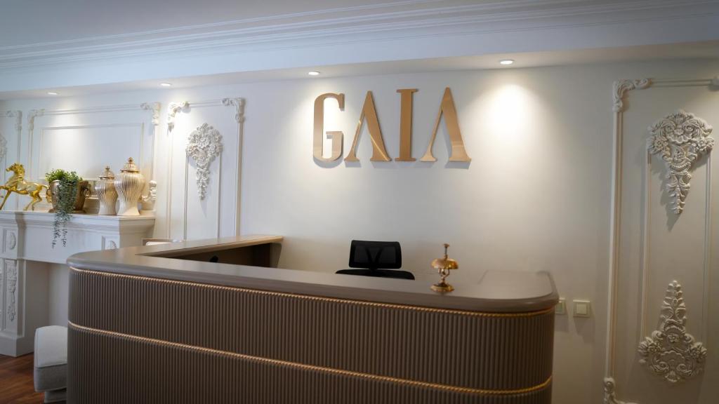 لابی و فضای عمومی Gaia Suites Istanbul - تصویر ۵