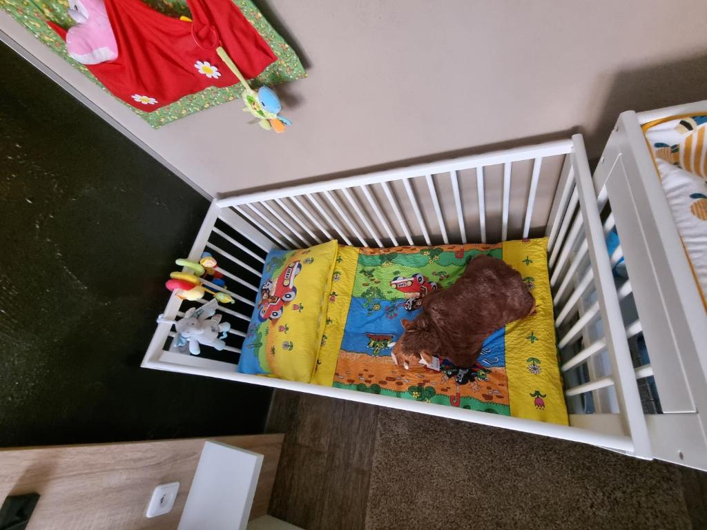 Fotografie z fotogalerie ubytování Apartmány 235 - 1 v Náchodě