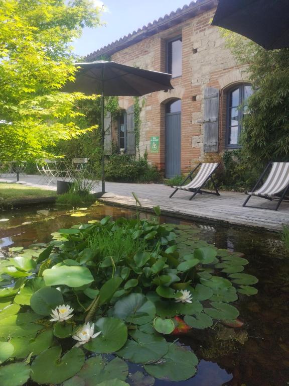 un étang avec des nénuphars devant une maison dans l'établissement Manoir des Barrayrous, à Nègrepelisse