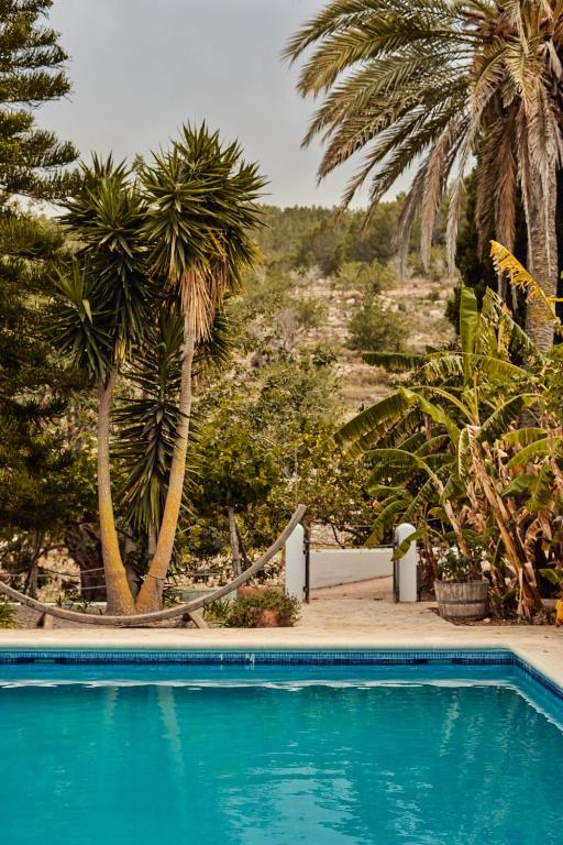 Bazén v ubytování Valley Club Ibiza - Boutique Agroturismo nebo v jeho okolí