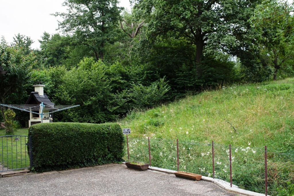 Zahrada ubytování Haus Elfriede