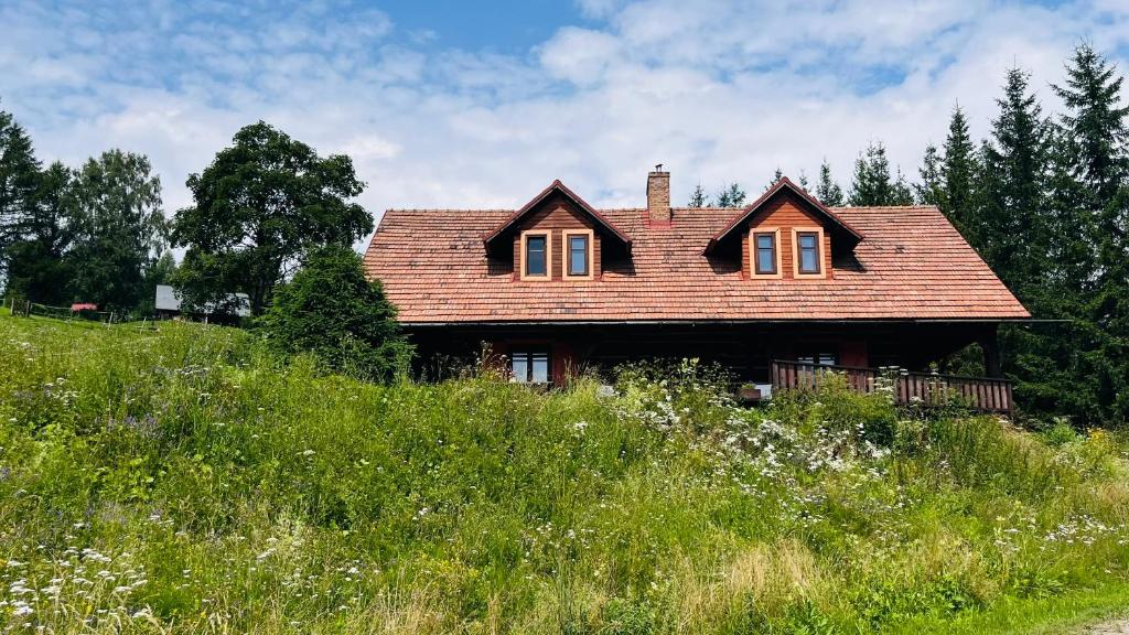 a house sitting on top of a hill at Chata Wetłyna I in Wetlina