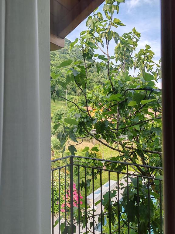 Vonkajšia záhrada v ubytovaní Casa Fontanera