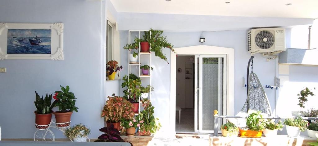 una stanza con piante in vaso sul muro di Sala apartment's a Sarandë