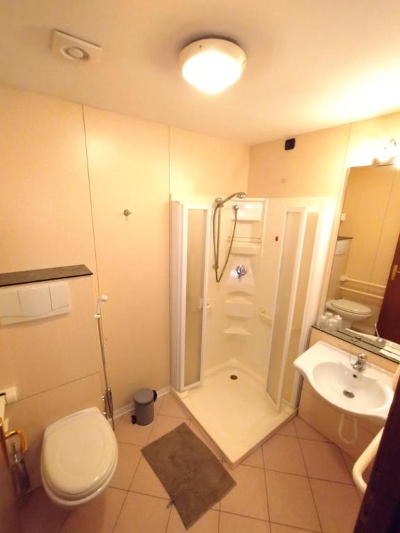 Koupelna v ubytování Albergo Venaria Reale da Matteo