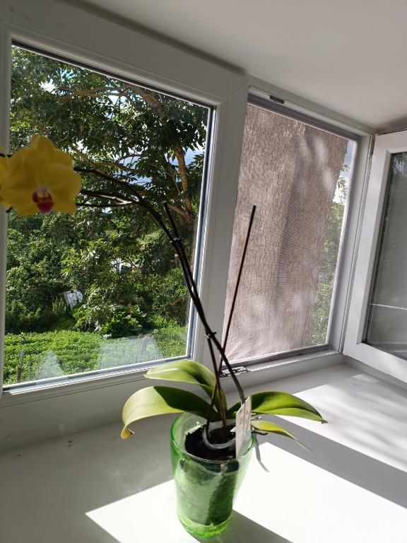 Zahrada ubytování Mäo Apartment