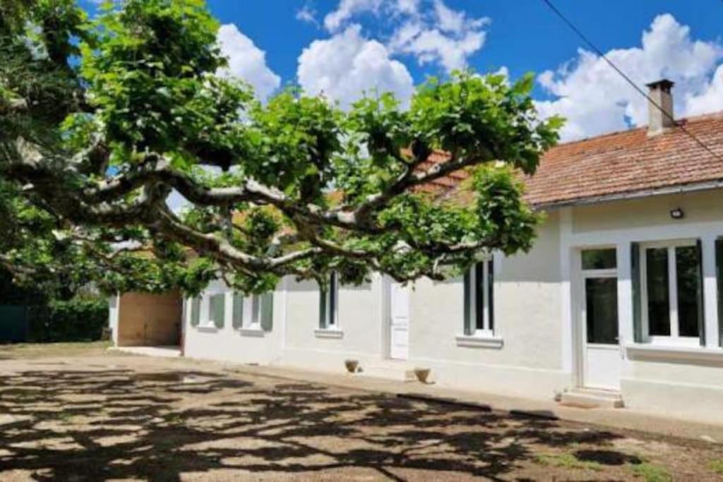 une maison avec un grand arbre en face dans l'établissement Camargu'Alpilles, à Mollégès