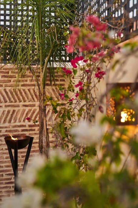 Zahrada ubytování Riad Miloud en exclusivité 10 P au cœur de la Médina