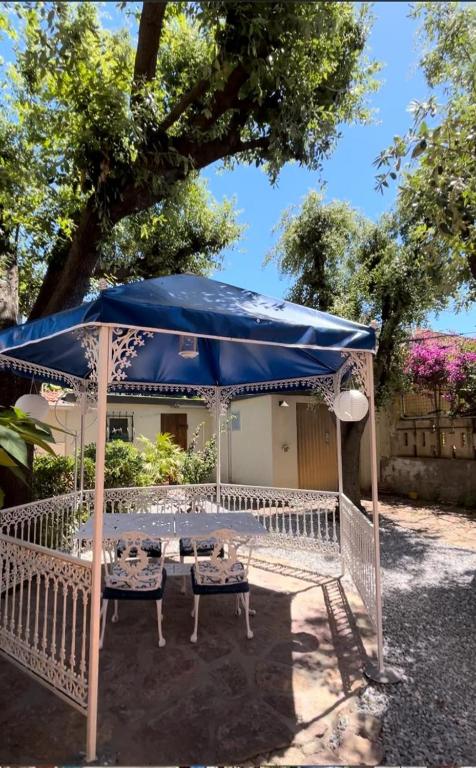 a blue umbrella and two chairs and a table at Villa Olga in San Vincenzo